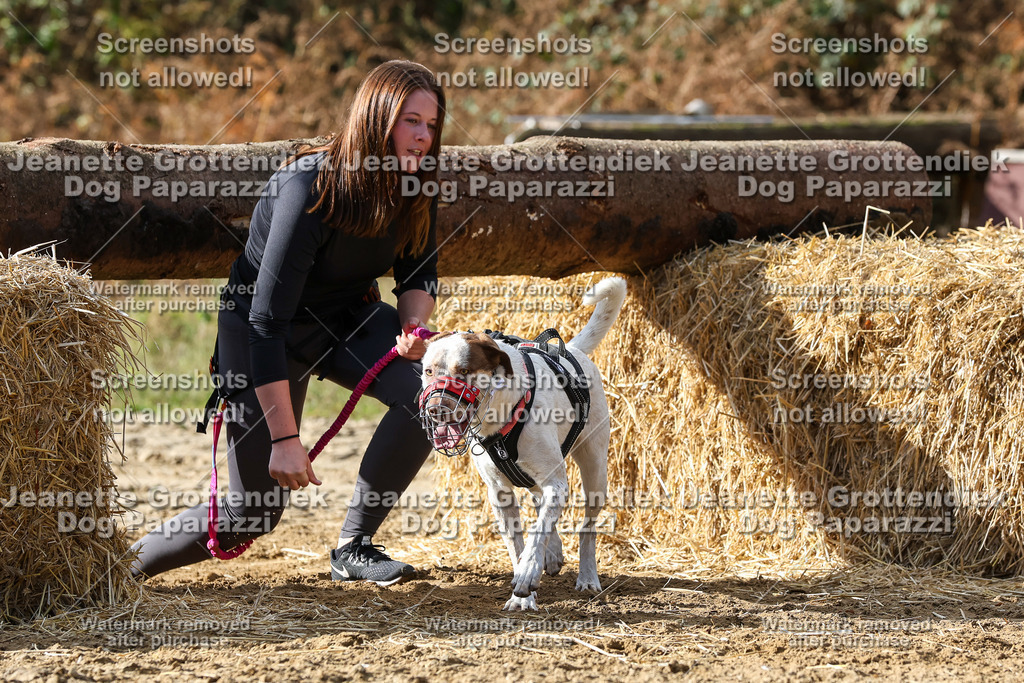 Dog Paparazzi - Strongdog 10-25-5123 | Dog Paparazzi Jeanette Grottendiek Fotografie & Videografie - Realisiert mit Pictrs.com