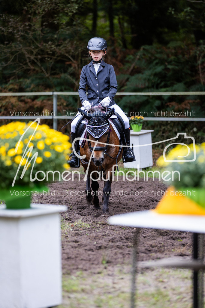 HB-Reiter-WB-049 | MomenTaufnahmen Pferdesportfotos