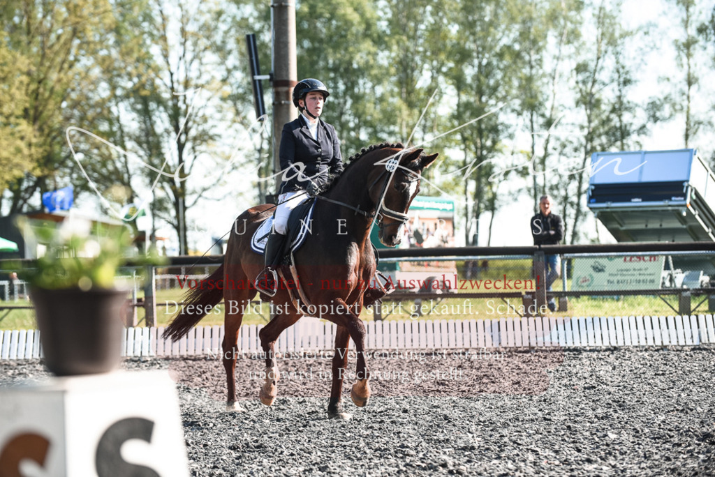 DSC_8289 | Pferde- und Turnierfotografie in Westsachsen. Pferdeportraits, Auftragszeichnungen und intuitive Kunst.
