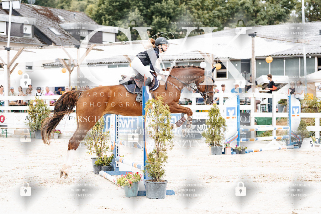 CK907936 | Turnierfotografie Pferdefotografie Trier Rheinland-Pfalz Pferdesport Reitsport Tierfotografie Sportfotografie Pferdevideo Pferdevideografie Equestrianvideography equestrianphotography  - Realisiert mit Pictrs.com