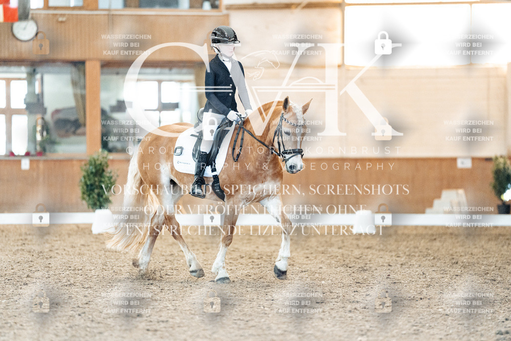 CK907369 | Turnierfotografie Pferdefotografie Trier Rheinland-Pfalz Pferdesport Reitsport Tierfotografie Sportfotografie Pferdevideo Pferdevideografie Equestrianvideography equestrianphotography  - Realisiert mit Pictrs.com