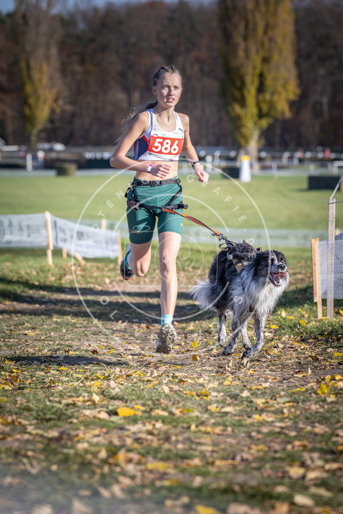 CaniXpix_DV3A9152 | Hundefotografie, Tierfotograf, Pfotenfotografie, Fotoshooting Hund, Hunde Portrait, Hundesport, Hundeportraits, Heideshooting, Hunde, Sportfotograf, Hundefotograf, Turnierhundsport, THS,  - Realisiert mit Pictrs.com