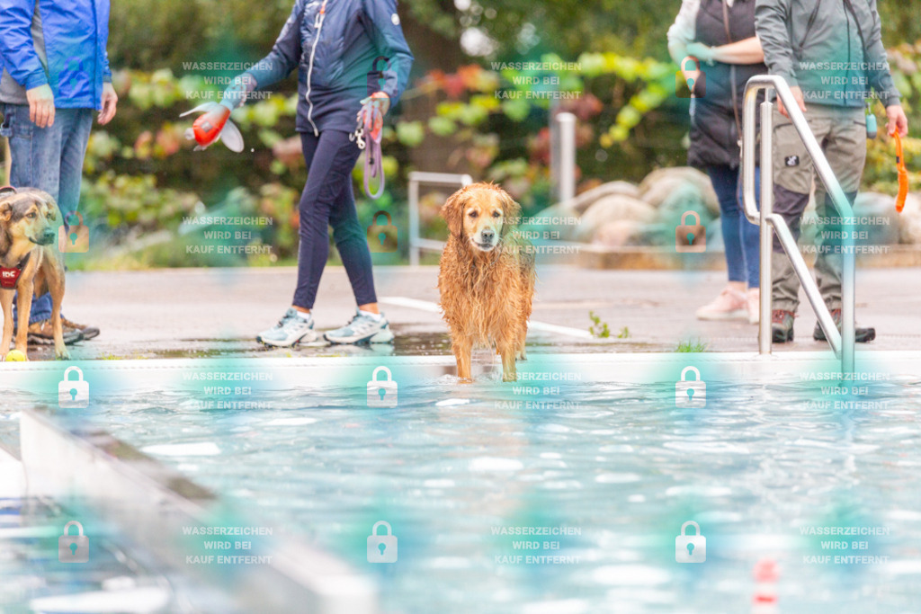 _HP_7187_1000o | HetPix, HetPix Fotodesign, Fotografie, Fotodesign, Webshop, Sportfotografie, Portraitfotografie, Onlineshop, Sportfotografie, Polch, Motorsportfotografie, Eventfotografie