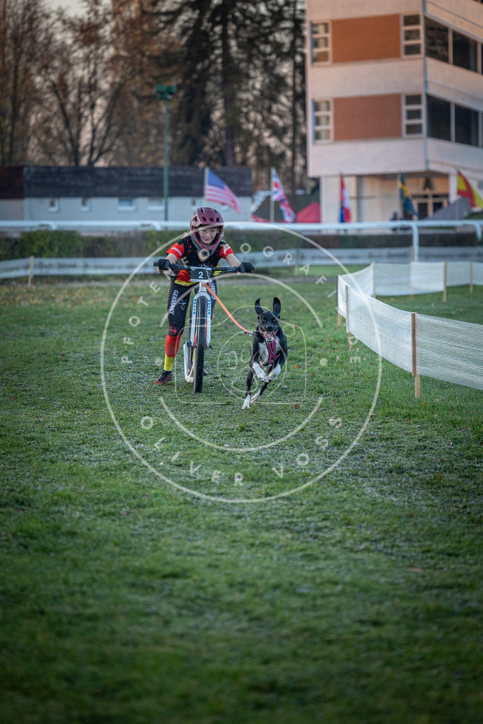 CaniXpix_0L8A0874 | Hundefotografie, Tierfotograf, Pfotenfotografie, Fotoshooting Hund, Hunde Portrait, Hundesport, Hundeportraits, Heideshooting, Hunde, Sportfotograf, Hundefotograf, Turnierhundsport, THS,  - Realisiert mit Pictrs.com
