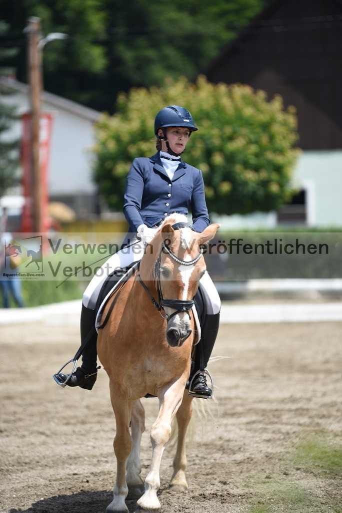 DSC_9582 | equestrian-live-com