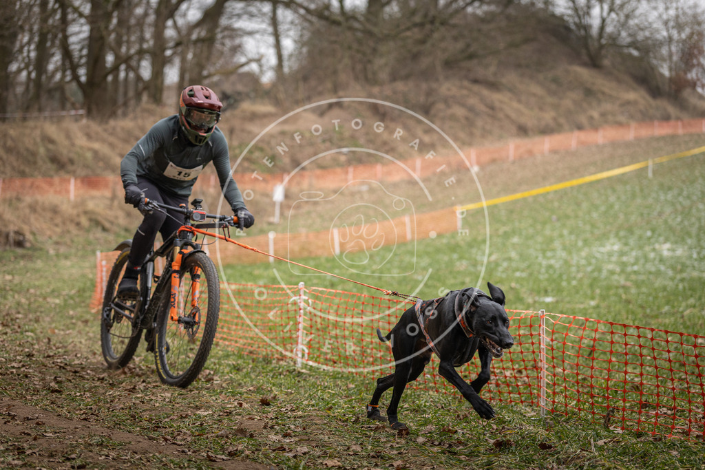 Pfotenfotografie_DV3A6879 | Hundefotografie, Tierfotograf, Pfotenfotografie, Fotoshooting Hund, Hunde Portrait, Hundesport, Hundeportraits, Heideshooting, Hunde, Sportfotograf, Hundefotograf, Turnierhundsport, THS,  - Realisiert mit Pictrs.com