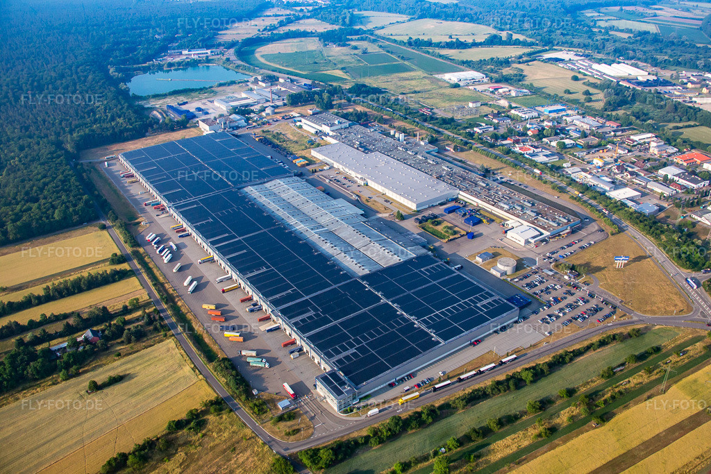 Luftbild: Goodyear Dunlop Tyres Germany in Philippsburg im Bundesland Baden-Württemberg in Deutschland. Foto: IMG_080522.jpg vom 12.06.2015 durch Werner Riehm/FLY-FOTO.de