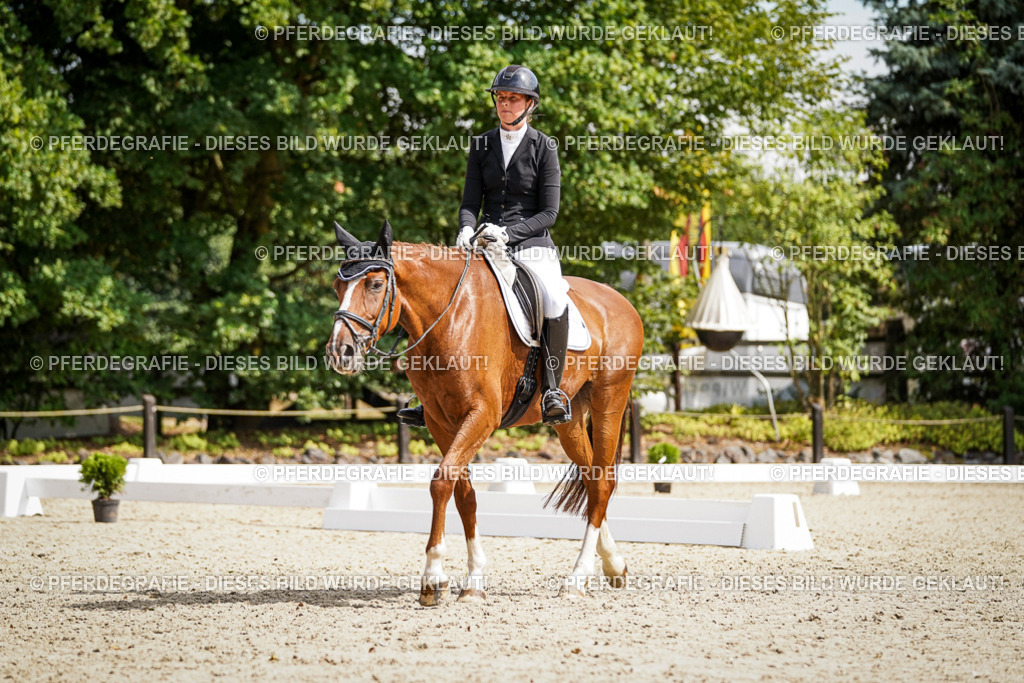 DSC08683 | Pferdegrafie