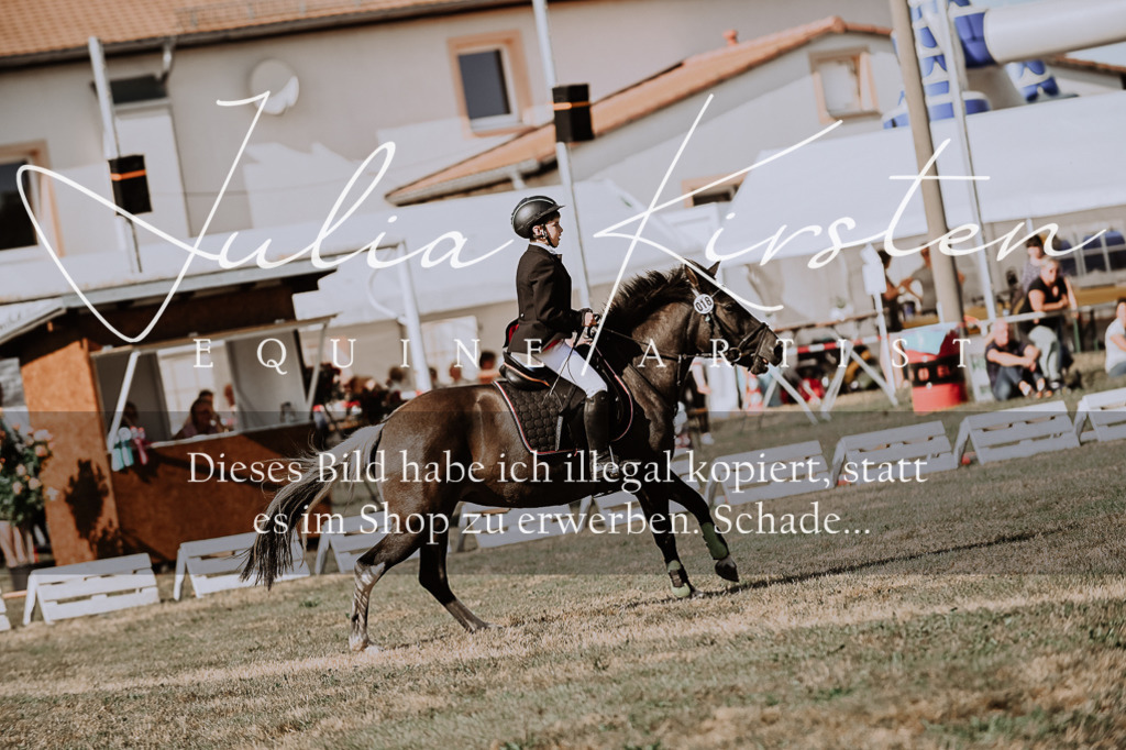 DSC_9464 | Pferde- und Turnierfotografie in Westsachsen. Pferdeportraits, Auftragszeichnungen und intuitive Kunst.