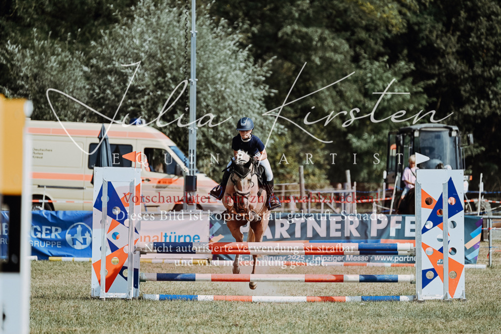 DSC_9334 | Pferde- und Turnierfotografie in Westsachsen. Pferdeportraits, Auftragszeichnungen und intuitive Kunst.