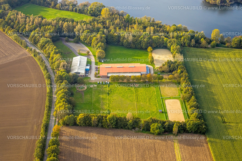 Kalkar241014365 | Luftbild, Reitzentrum Kalkar-Wissel am Wisseler See, Wissel, Kalkar, Niederrhein, Nordrhein-Westfalen, Deutschland