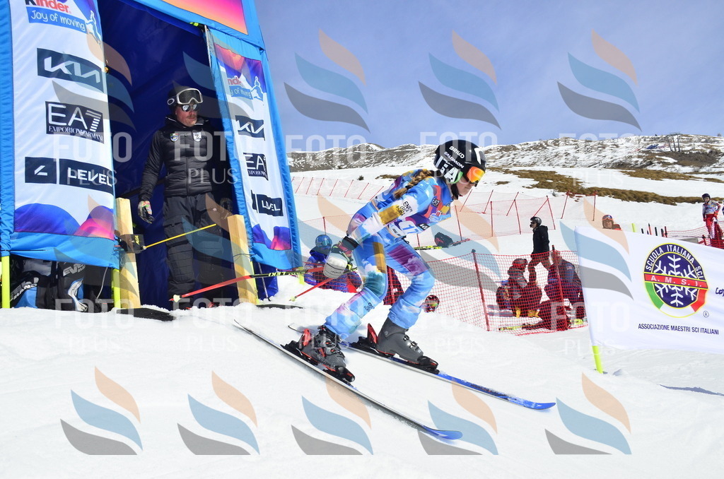 _ELE1149 | holidayphoto