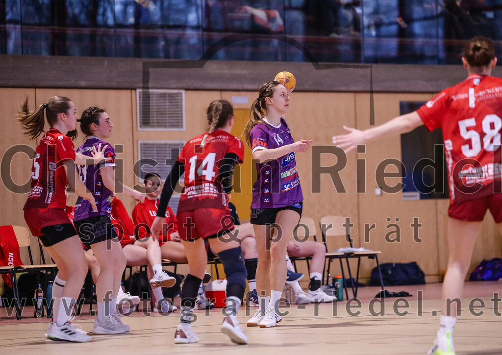 2025-02-22_071_SpVgg_Altenerding_gegen_TG_Landshut | Erding, Deutschland, 22.02.2025:Handball, Bezirksoberliga Frauen Altbayern 2024 / 2024, 15. Spieltag, SpVgg Altenerding gegen TG Landshut, Endergebnis: 25:22Katharina Künstner (SpVgg Altenerding, #23), Isabella Gschossmann (TG Landshut, #14), Sophie Lößl (SpVgg Altenerding, #14)Foto: Christian Riedel / fotografie-riedel.net