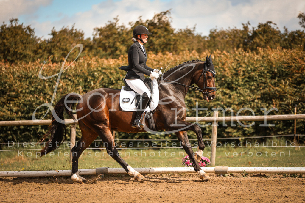 14.SaDrA200329 | Leoni Ertmer Photography - Realisiert mit Pictrs.com