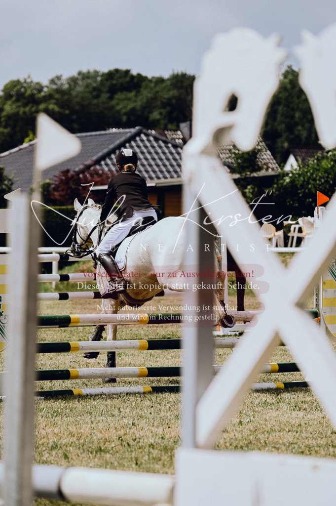 DSC_9413 | Pferde- und Turnierfotografie in Westsachsen. Pferdeportraits, Auftragszeichnungen und intuitive Kunst.