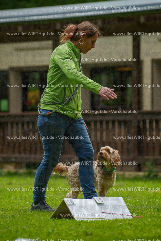 @allesWIRTHgut_Tierfotografie - www.allesWIRTHgut.de - 092334-7R507040 | Professionelle Tierfotografie in Mönchengladbach von Daniel Wirth (allesWIRTHgut). Liebevolle & natürliche Bilder von Hunden & Katzen für unvergessliche Erinnerungen.