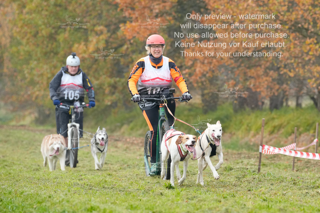 Visbeck_Sa_DS2DR2-67 | stephaniefillaphotographie - Realisiert mit Pictrs.com