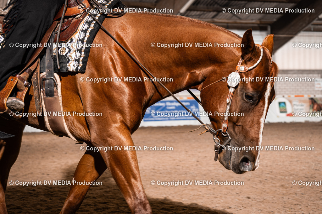 ZH100103 | dv-media-shop - Realisiert mit Pictrs.com