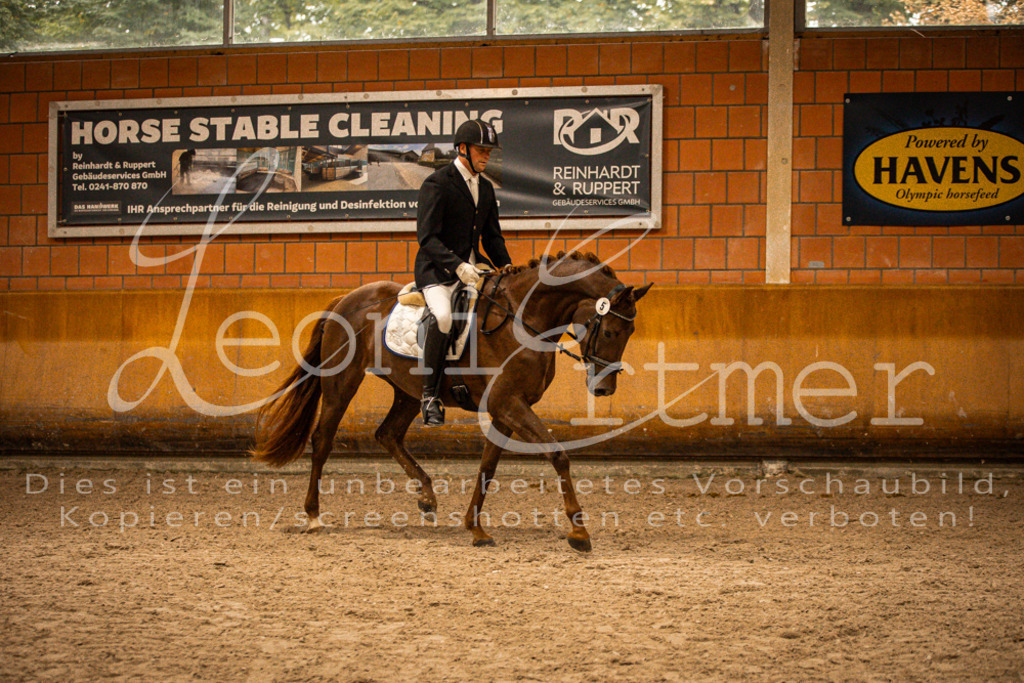 1Reiten00220 | Leoni Ertmer Photography - Realisiert mit Pictrs.com