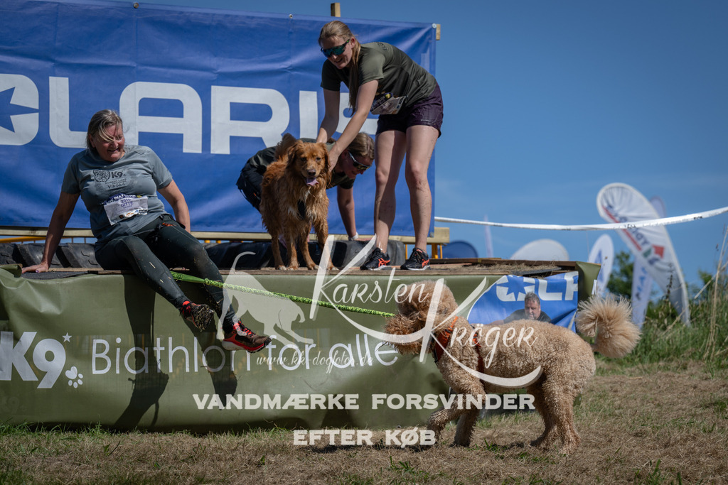 1216_ZZ94825 | kk-dogfotos