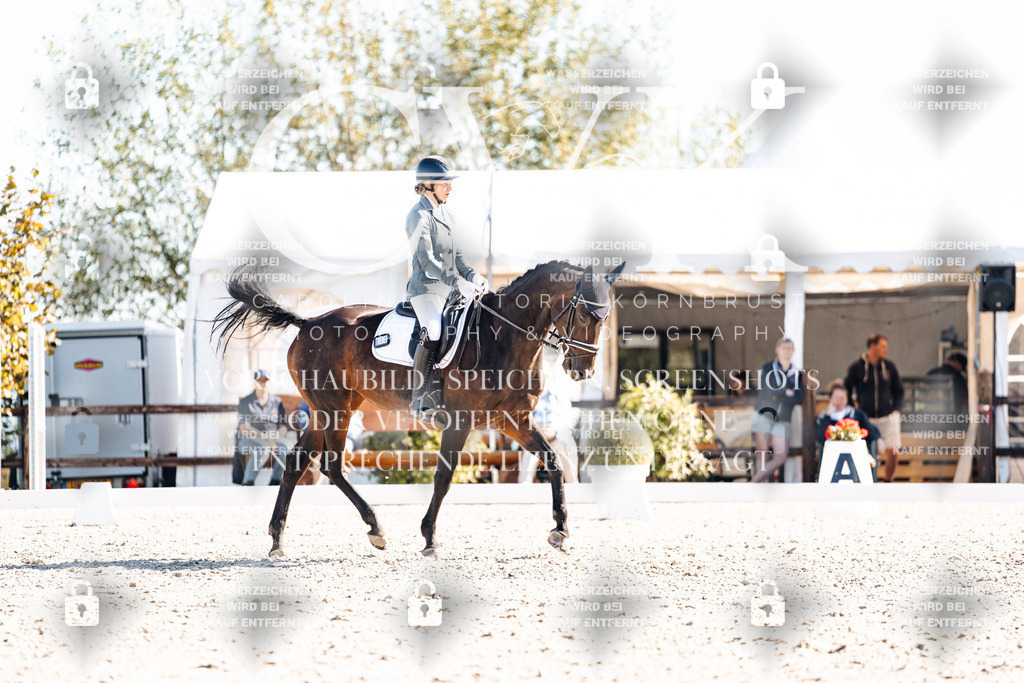 CK908786 | Turnierfotografie Pferdefotografie Trier Rheinland-Pfalz Pferdesport Reitsport Tierfotografie Sportfotografie Pferdevideo Pferdevideografie Equestrianvideography equestrianphotography  - Realisiert mit Pictrs.com