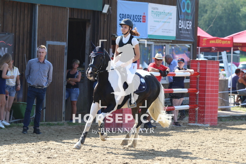 7V2A2830 | Willkommen bei Brunnmayr - Design & Fotografie – Ihrem Spezialisten für Reitturniere und Pferdeveranstaltungen in Oberösterreich, Salzburg und Bayern! Seit über 17 Jahren sind wir leidenschaftlich dabei.