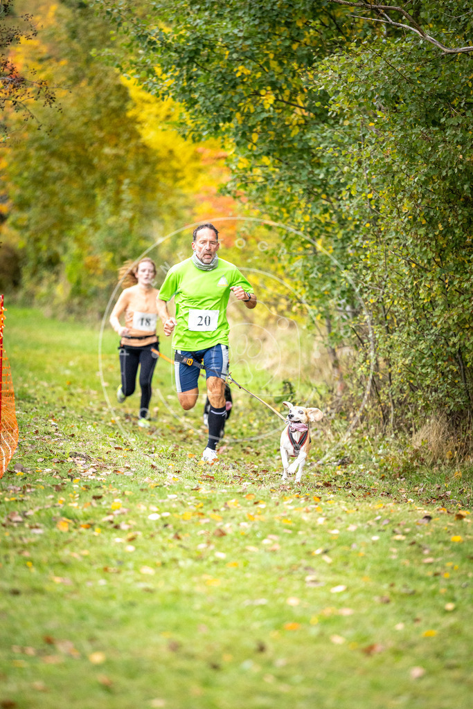 Pfotenfotografie_DV3A1864 | Hundefotografie, Tierfotograf, Pfotenfotografie, Fotoshooting Hund, Hunde Portrait, Hundesport, Hundeportraits, Heideshooting, Hunde, Sportfotograf, Hundefotograf, Turnierhundsport, THS,  - Realisiert mit Pictrs.com