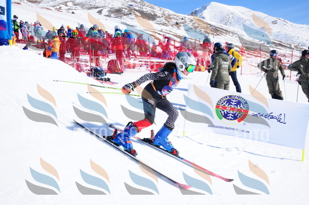 DSC_4127 | holidayphoto