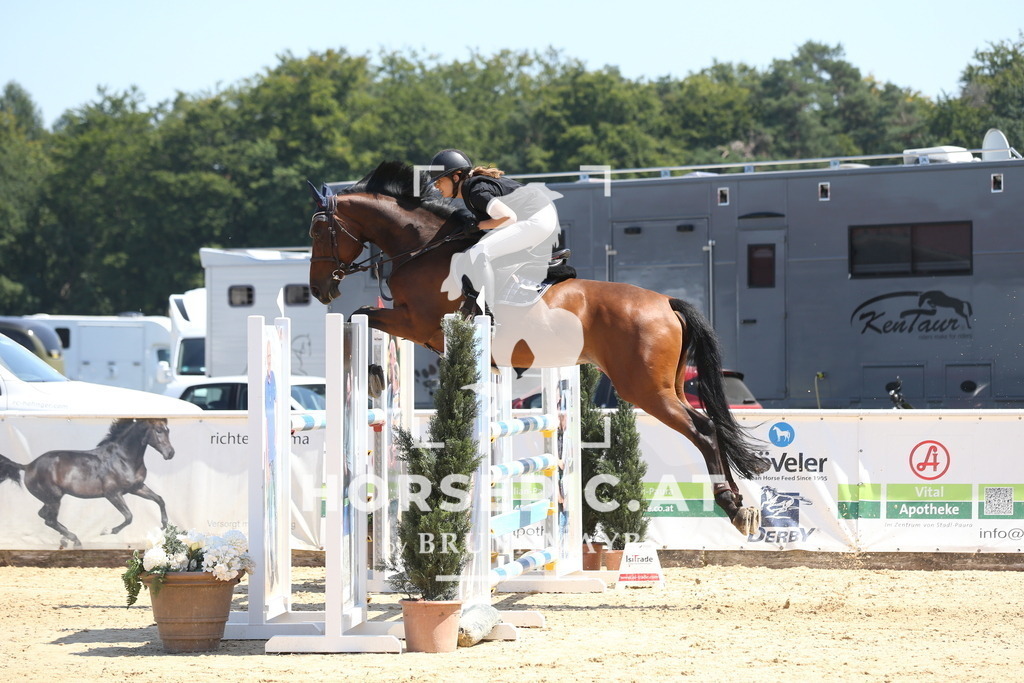 DL2Q3856 | Willkommen bei Brunnmayr - Design & Fotografie – Ihrem Spezialisten für Reitturniere und Pferdeveranstaltungen in Oberösterreich, Salzburg und Bayern! Seit über 17 Jahren sind wir leidenschaftlich dabei.