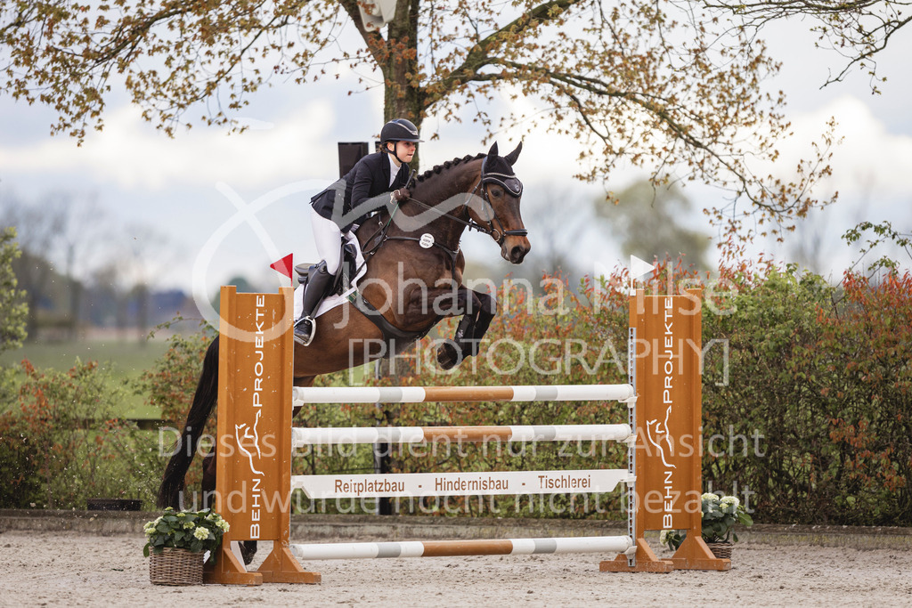240424_Lemwerder_Stil-M-131 | Deine schönsten Turniermomente als professionelle Fotos! Entdecke hochwertige Pferdesport-Fotografie im Online-Shop. Jetzt Fotos finden & bestellen!