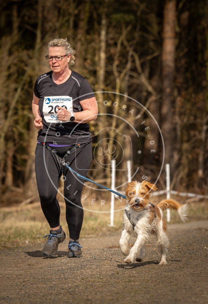 DV3A5538 | Hundefotografie, Tierfotograf, Pfotenfotografie, Fotoshooting Hund, Hunde Portrait, Hundesport, Hundeportraits, Heideshooting, Hunde, Sportfotograf, Hundefotograf, Turnierhundsport, THS,  - Realisiert mit Pictrs.com