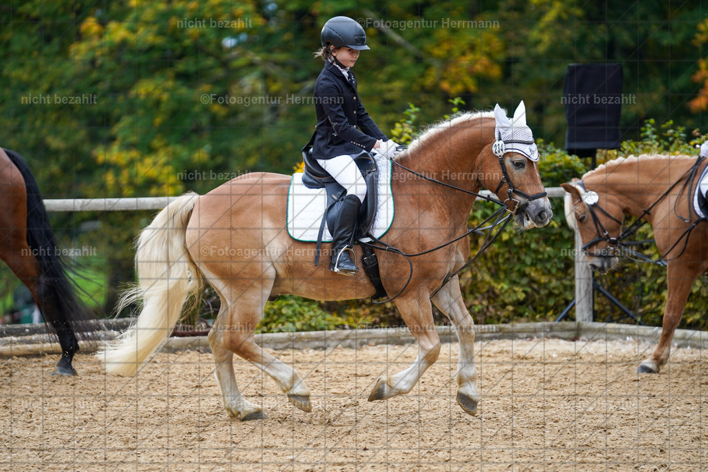 20221008-FAH01453 | Diessen am Ammersee, 2022, Dressur- und Springturnier, Reitsportbilder, Turnierfotografen Bayern, Pferdefotografen, Fotoagentur Herrmann, Turnierbilder