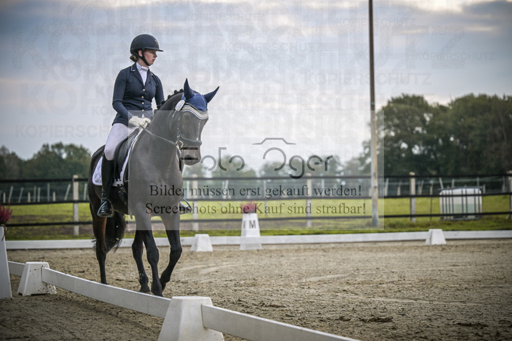 DOS_2439 | Entdecke hochwertige Reitturnierfotos von Foto Oger. Professionell, emotional und authentisch – jetzt Lieblingsmomente im Shop bestellen.Deutschlandweite Turnierfotografie. - Realisiert mit Pictrs.com