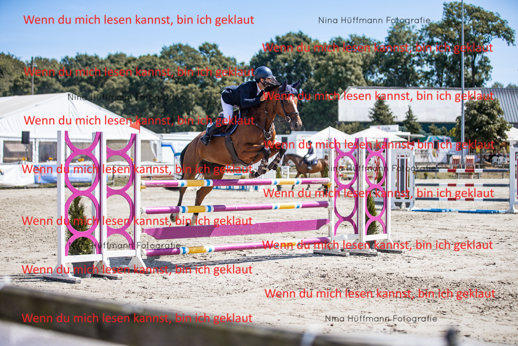 BK1A6413 | Turnierbilder Turnierfotos Nina Hüffmann Turnierfotografie Pferdefotografie Tierzeichnung Haustierzeichnung Pferdezeichnung Hundezeichnung Videograf  - Realisiert mit Pictrs.com