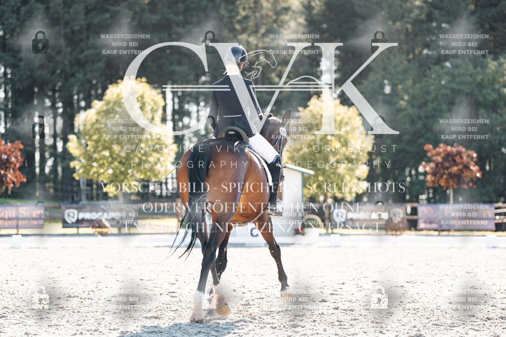 CK906439 | Turnierfotografie Pferdefotografie Trier Rheinland-Pfalz Pferdesport Reitsport Tierfotografie Sportfotografie Pferdevideo Pferdevideografie Equestrianvideography equestrianphotography  - Realisiert mit Pictrs.com