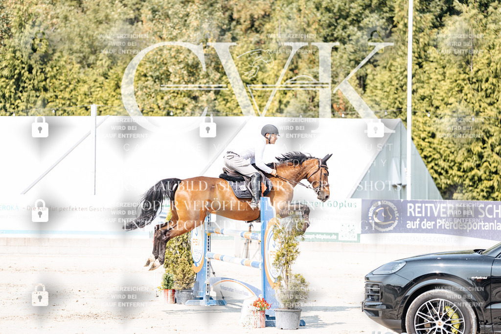 CK901672 | Turnierfotografie Pferdefotografie Trier Rheinland-Pfalz Pferdesport Reitsport Tierfotografie Sportfotografie Pferdevideo Pferdevideografie Equestrianvideography equestrianphotography  - Realisiert mit Pictrs.com