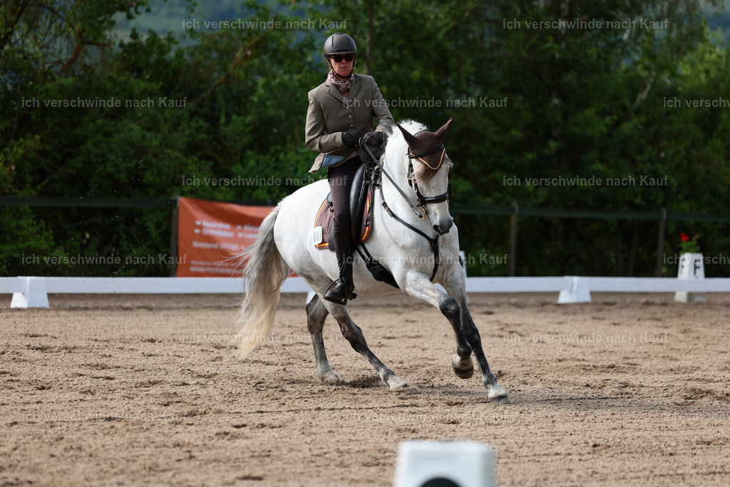 Masterclass_stoibphotography_C2_L4668.JPG | working equitationturnier fotograf videograf stoibphotography marixx film working equitation deutschland reitsport turnierfotografie eventfotografie equestrian events
