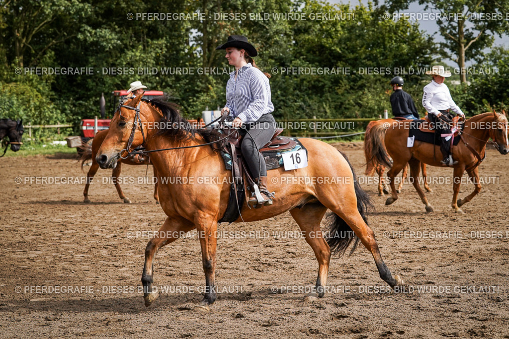 DSC09310 | Pferdegrafie