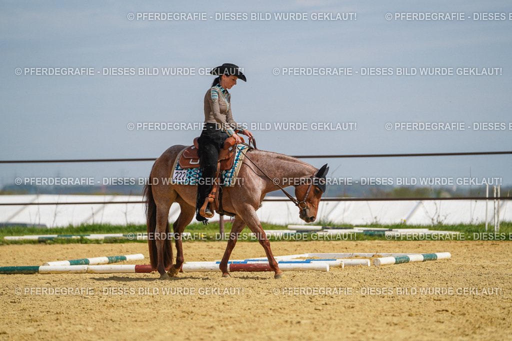 DSC04923 | Pferdegrafie