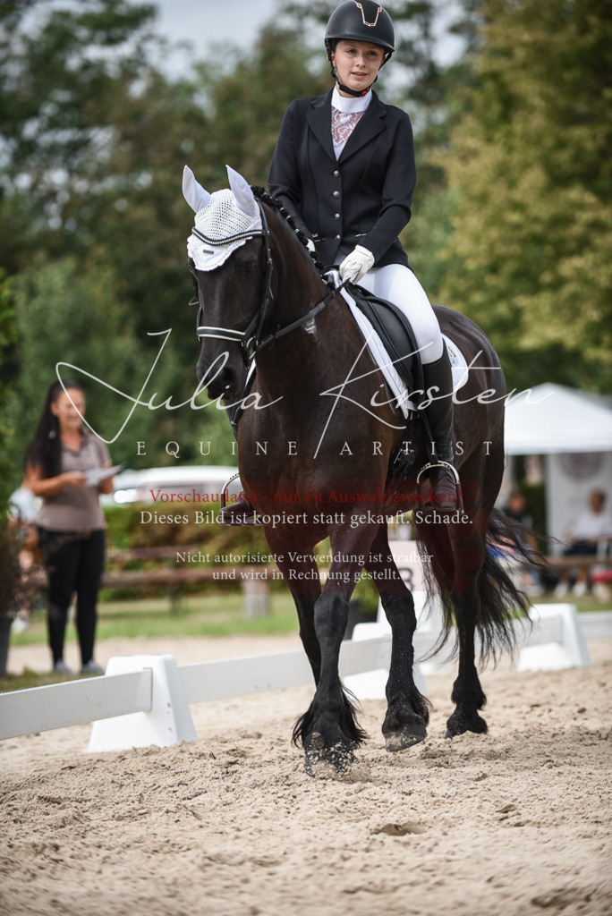 DSC_8604 | Pferde- und Turnierfotografie in Westsachsen. Pferdeportraits, Auftragszeichnungen und intuitive Kunst.