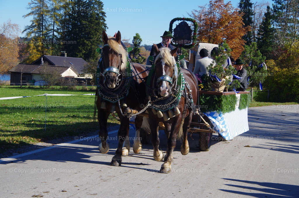 IMGP8264 | fotografiert von Axel PollmannLeonhardi Wallfahrt Benediktbeuern und Murnau, Fronleichnam, Fasching, Landschaft im Loisachtal und Benediktbeuern  - Realisiert mit Pictrs.com