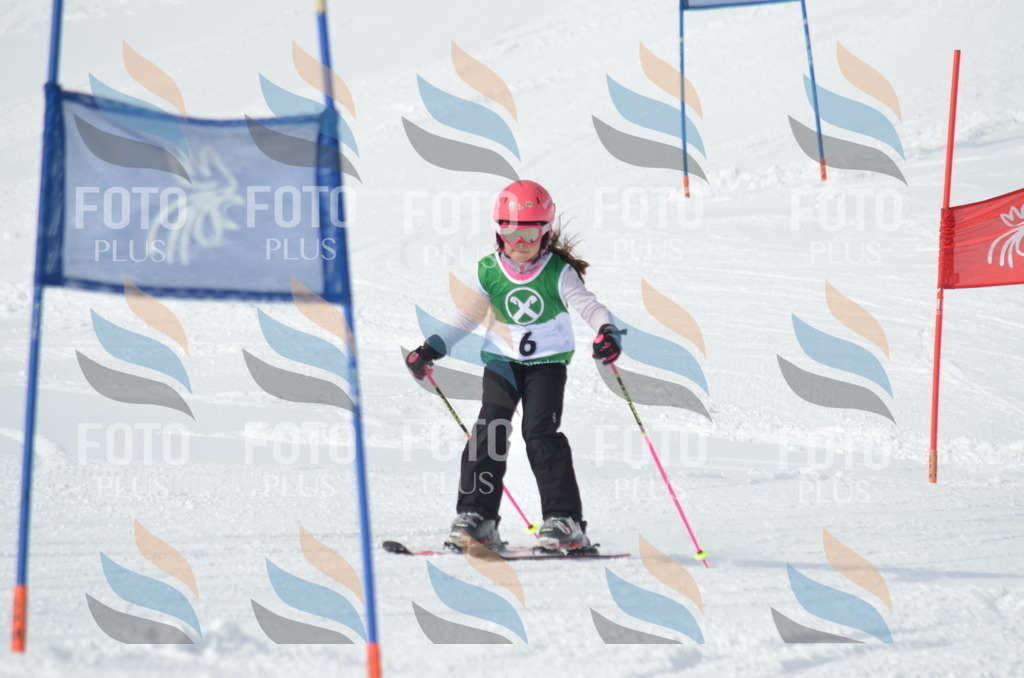 D8482 | holidayphoto