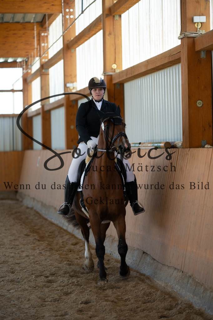 A7V01785 | Turnier/Reitfotograf