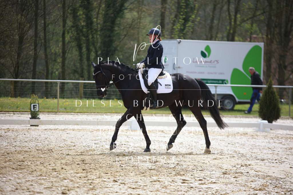 IMGT3152 | pl-fotografie