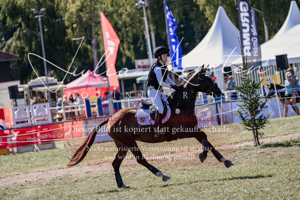 DSC_2734 | Pferde- und Turnierfotografie in Westsachsen. Pferdeportraits, Auftragszeichnungen und intuitive Kunst.