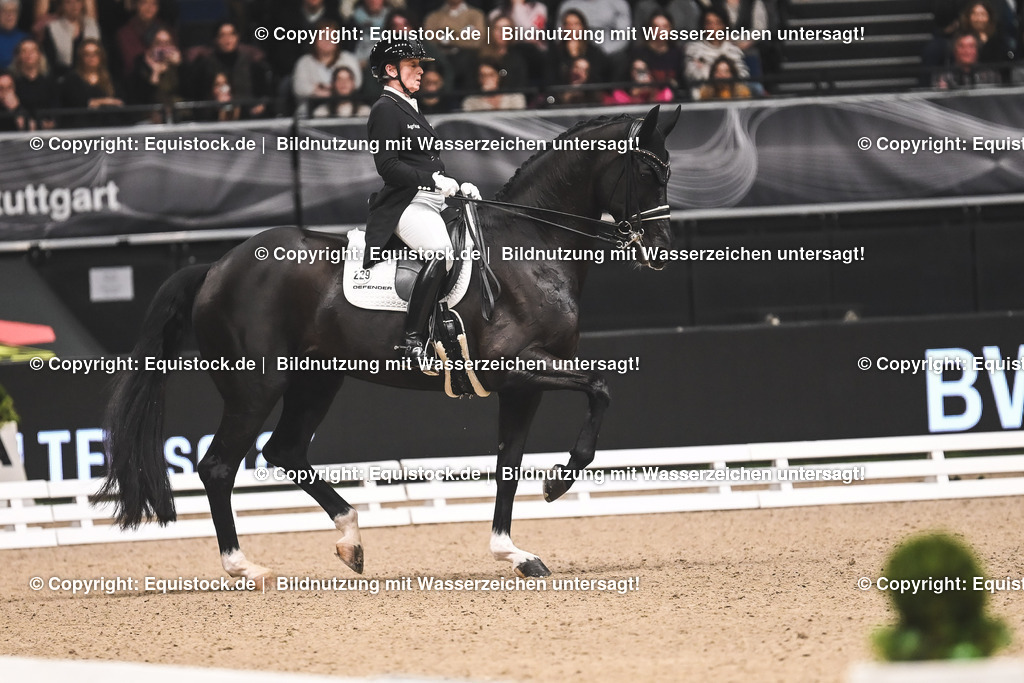 20241116_Dressur-Kür_TOMsPiC_0287 | Foto: Thomas Hartig