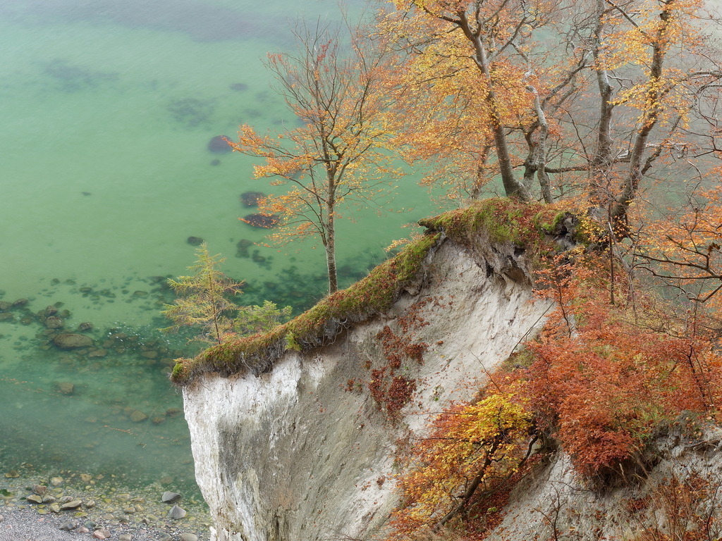 Abbruch einer Kreideküste an der Ostsee | Bunte Bäume im Herbst auf einer Abbruchkante der Kreideküste an der Ostsee - Realisiert mit Pictrs.com