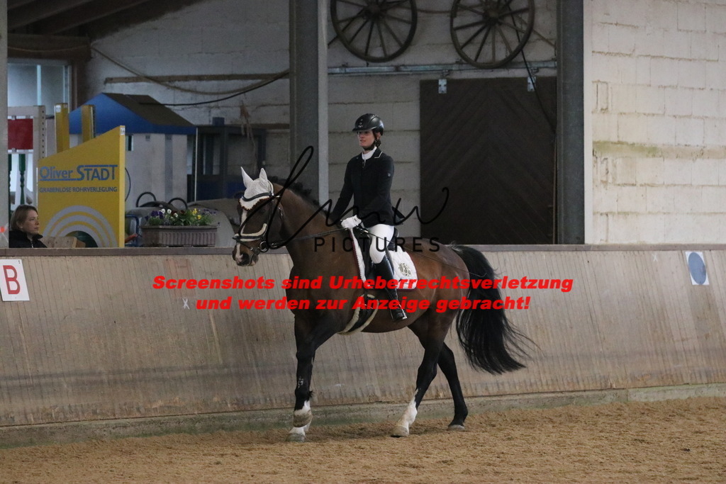 IMG_3914 | lmwpictures - Realisiert mit Pictrs.com