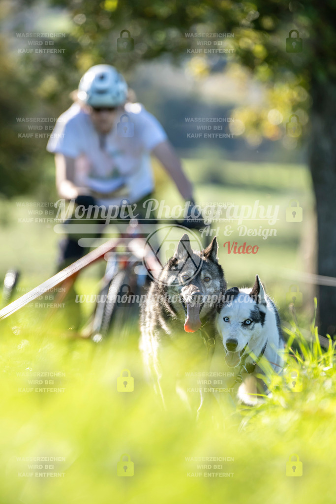 MompixPhotography_20TSB_E3_Kart-12 | PayLife