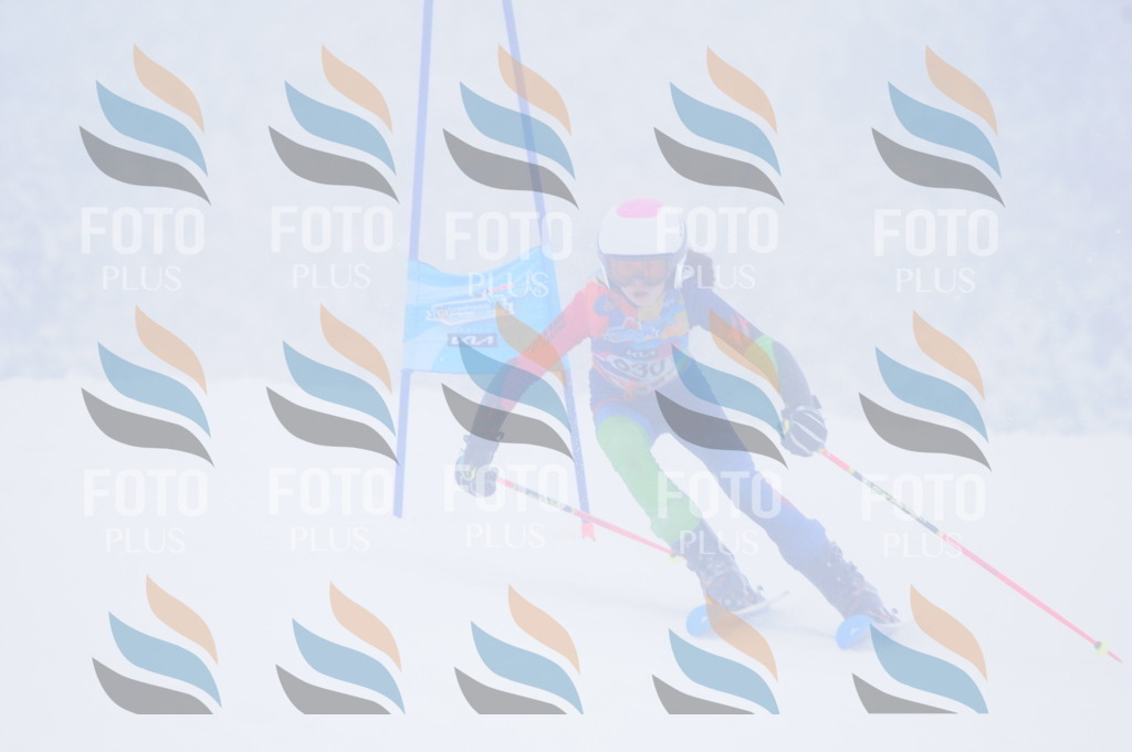 C3526 | holidayphoto